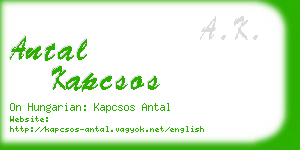 antal kapcsos business card